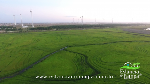 DOS EÓLICOS VIRA P FAZENDA_Moment.00_00_42_10.Quadro009_34d766264299acf3d46ae28ee1d696e2b270e745.png